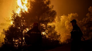 Φωτιά σε Αχαΐα και Ρέθυμνο: Δύσκολη η νύχτα στα πύρινα μέτωπα - 71 πυρκαγιές σε ένα εικοσιτετράωρο