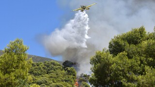 51 δασικές πυρκαγιές το τελευταίο εικοσιτετράωρο – Πού θα υπάρχουν αυξημένες περιπολίες τη Δευτέρα