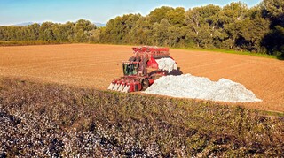 Δημητρακόπουλος: Στη θεσσαλική γη η μείωση βαμβακιού και σιτηρών θα φτάσει μελλοντικά το 70%