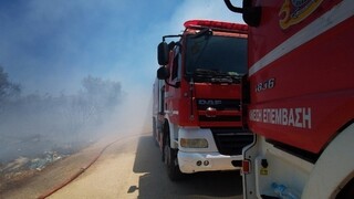 Συναγερμός στην Πυροσβεστική: Φωτιές σε Κύμη και Αχαΐα