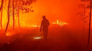 Φωτιές και καύσωνας «σαρώνουν» την Ευρώπη - «H κλιματική αλλαγή σκοτώνει»