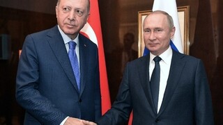 Πούτιν και Ερντογάν θα συζητήσουν την εξαγωγή των ουκρανικών σιτηρών