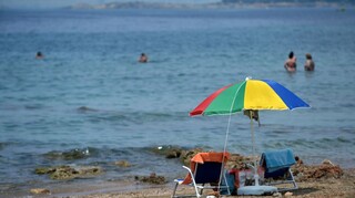 Μωβ μέδουσες: Σε ποιες παραλίες της Αττικής αναφέρθηκαν κρούσματα - Tι να κάνετε αν σας τσιμπήσει