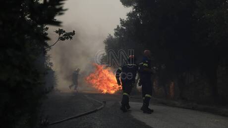 Φωτιά στην Πεντέλη - Δήμαρχος Πικερμίου στο CNN Greece: Επικίνδυνο το πύρινο μέτωπο