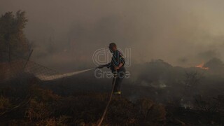 Φωτιά: Οι φλόγες στα πρώτα σπίτια στο Ντράφι - Εκκενώθηκαν Ντράφι, Ανθούσα, Διώνη και Δασαμάρι