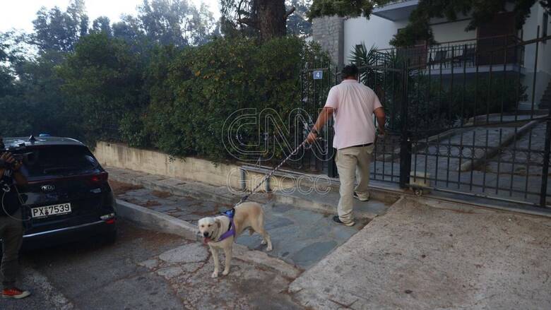 Φωτιά στην Πεντέλη: Δημιουργείται κτηνιατρικός σταθμός στην Παλλήνη για πυρόπληκτα ζώα