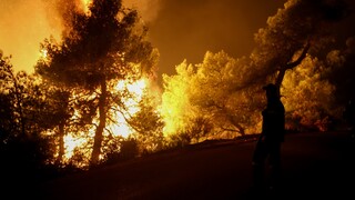 Φωτιά στη Μεγαλόπολη: Μαίνεται το πύρινο μέτωπο - Έκτακτες κυκλοφοριακές ρυθμίσεις