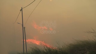 Φωτιά Πεντέλη: Δεν υπάρχει διαρροή φυσικού αερίου στο Λόφο Έντισον στην Παλλήνη