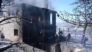Διώνη: Εικόνες που κόβουν την ανάσα - Σπίτι έχει παραδοθεί στις φλόγες