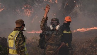 Φωτιά στα Μέγαρα: Εκκενώθηκαν Ζάχουλη και Παπαγιαννέικα - Αγώνας να μην ξεφύγει η πυρκαγιά