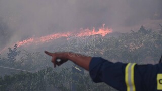 Φωτιά στα Μέγαρα: Νέο μέτωπο στην Αγία Άννα - Μάχη με τις αναζωπυρώσεις δίνουν οι πυροσβέστες