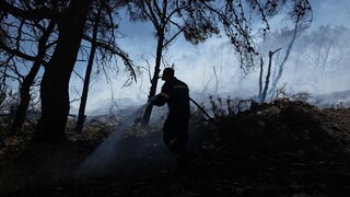 Φωτιά Πεντέλη - Meteo: Το μέγεθος της καταστροφής σε μία εικόνα - Κάηκαν πάνω από 20.000 στρέμματα
