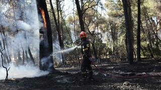 Φωτιά στην Ηλεία: Ένας πυροσβέστης τραυματίας - Ενισχύθηκαν επίγειες και εναέριες δυνάμεις
