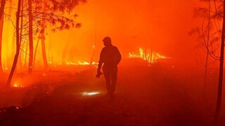 ΕΕ: Οι φετινές πυρκαγιές έχουν ήδη καταστρέψει περισσότερη έκταση σε σχέση με το σύνολο του 2021