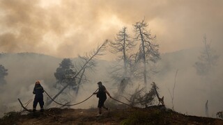 Φωτιά στον Έβρο: Στις παρυφές του δάσους Δαδιάς το μέτωπο - Κατευθύνεται προς Λευκίμμη