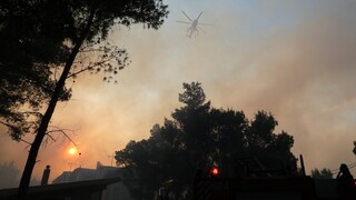 Υπό μερικό έλεγχο η φωτιά στην Κεφαλονιά: Παραμένουν οι επείγειες πυροσβεστικές δυνάμεις