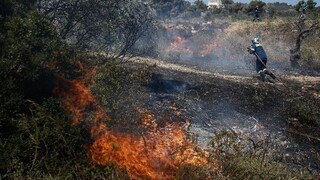 Φωτιά στον Έβρο: Στις παρυφές του δάσους Δαδιάς, σε δύσβατο σημείο - Επιχειρούν εναέρια μέσα