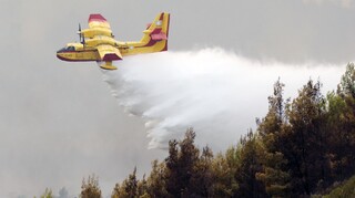 Φωτιά στον Έβρο: Υπό απειλή η περιοχή NATURA στο δάσος της Δαδιάς - Περαιτέρω ενίσχυση των δυνάμεων
