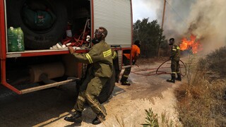 Φωτιά στην Εύβοια: Επί ποδός η Πυροσβεστική στον Κάμπο Δύστου