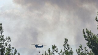 Φωτιά: Καίγεται το δάσος της Δαδιάς - Αναζωπυρώσεις στα Μέγαρα - Μάχη σε νέο μέτωπο στην Ηλεία