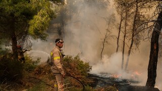 Φωτιά στα Σπάτα: Κινητοποιήθηκε η Πυροσβεστική Υπηρεσία