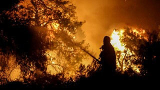 Φωτιά: Δεύτερη νύχτα αγωνίας στον Έβρο - Αναζωπυρώσεις στα Μέγαρα, οριοθετήθηκε στην Ηλεία