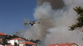53 πυρκαγιές το τελευταίο 24ωρο - Στο δάσος Δαδιάς και τα Βατερά επικεντρώνονται οι δυνάμεις
