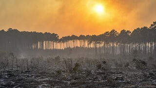 Βρετανία - Γαλλία: Καύσωνες και πυρκαγιές φέρνουν ξανά στην επικαιρότητα την περιβαλλοντική πολιτική