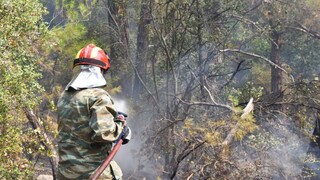 Φωτιά στο δάσος της Δαδιάς: Και κλιμάκιο του ΣΥΡΙΖΑ στον Έβρο