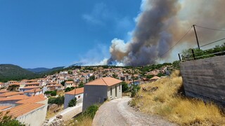 Φωτιά Μυτιλήνη: Εκκενώνεται και το χωριό Σταυρός