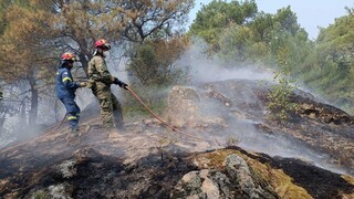 Τρία πύρινα μέτωπα στο δάσος Δαδιάς - Η φωτιά απειλεί το Κέντρο Ενημέρωσης της Μονάδας Διαχείρισης