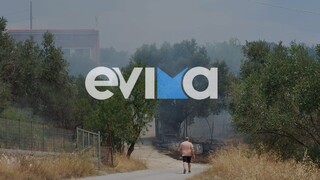 Φωτιά στην Εύβοια: 4 πυρκαγιές ξέσπασαν σε λίγη ώρα – Νέο μέτωπο στο Αλιβέρι
