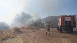 Νέος συναγερμός: Φωτιά στον Σκαραμαγκά