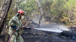 Φωτιές: 58 πύρινα μέτωπα σε ένα εικοσιτετράωρο - Η εικόνα σε Έβρο, Μυτιλήνη, Ηλεία και Γρεβενά