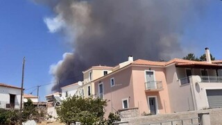 Φωτιά: Αναζωπυρώθηκε το πύρινο μέτωπο στη Μυτιλήνη - Εκκενώθηκε η Βρίσα