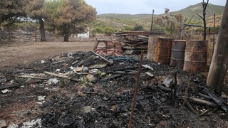 Δήμος Πεντέλης: Κηρύχθηκε σε κατάσταση έκτακτης ανάγκης μετά την πυρκαγιά