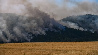 Φωτιά στον Έβρο: Οριοθετημένο το μέτωπο στο δάσος της Δαδιάς - «Στάχτη» 40.000 στρέμματα