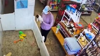 Γυναίκα κλέβει κουτάβι από pet shop στην Φλόριντα