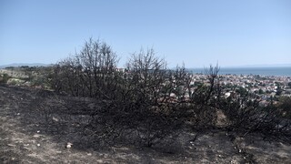 Θεσσαλονίκη: Μέτρα για την πρόληψη πυρκαγιών από εμπρησμούς ζητά ο εισαγγελέας από την αστυνομία