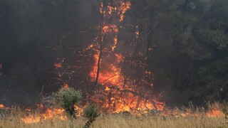 Φωτιά στο Δίστομο: Επί ποδός ισχυρή δύναμη της Πυροσβεστικής