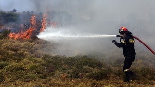 Σε εξέλιξη η φωτιά στο Δίστομο Βοιωτίας - Υπό έλεγχο η πυρκαγιά στον Ασπρόπυργο