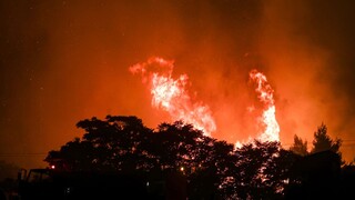 Στις φλόγες και η Λίμνη Δασίου στο Ξυλόκαστρο - Χωρίς ενεργό μέτωπο η φωτιά στο Δίστομο