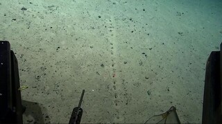 Παράξενες τρύπες ανακαλύφθηκαν στον πυθμένα του Ατλαντικού Ωκεανού