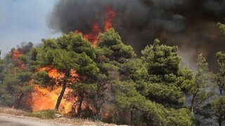 ΕΛΑΣ: Πάνω από 130 περιπολίες το Σάββατο για την αποτροπή πυρκαγιών