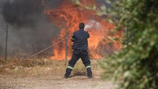 Πολύ υψηλός κίνδυνος πυρκαγιάς τη Δευτέρα - Ο χάρτης της Πολιτικής Προστασίας