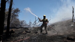 Φωτιά: Πολύ υψηλός κίνδυνος πυρκαγιάς τη Δευτέρα για τρεις περιφέρειες
