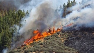 Κέρκυρα: Κινητοποίηση της πυροσβεστικής για φωτιά σε γεωργική έκταση στο Τεμπλόνι