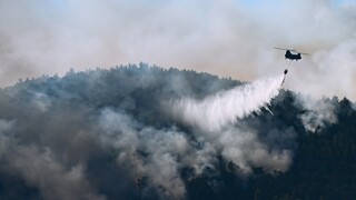 Πυρκαγιές: 31 δασικές φωτιές σε ένα 24ωρο - Πολύ υψηλός κίνδυνος και για την Τετάρτη