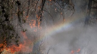 Πυροσβεστική: Οριοθετήθηκε η φωτιά στον εθνικό δρυμό της Βάλια Κάλντα
