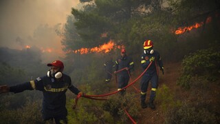 Φωτιές στην Πελοπόννησο: Μέτωπα σε Πύργο και Γύθειο - Ενισχύθηκαν οι δυνάμεις στο Σχίνο Μεσσηνίας